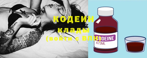 ПСИЛОЦИБИНОВЫЕ ГРИБЫ Козловка