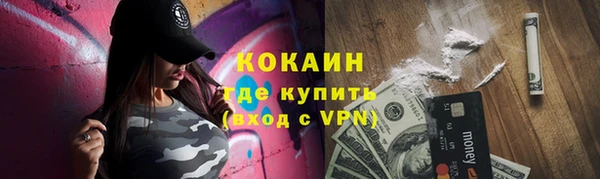 ПСИЛОЦИБИНОВЫЕ ГРИБЫ Козловка