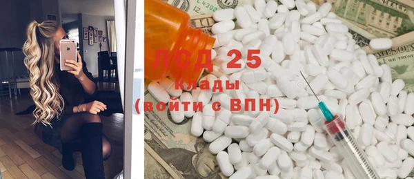 ПСИЛОЦИБИНОВЫЕ ГРИБЫ Козловка